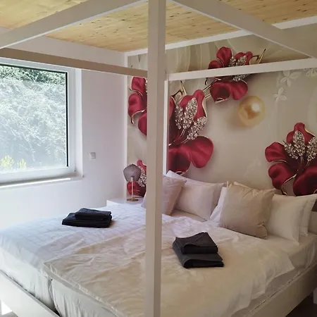 Apprimus - Waldsee Panoramaterrasse 2 Eg *